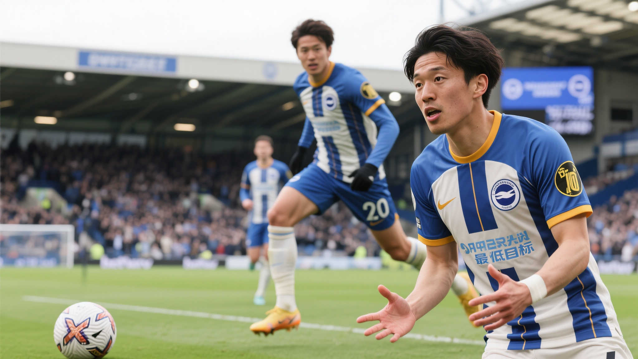 华体会体育介绍